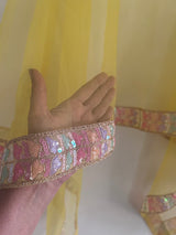 Yellow Net dupatta with multi color border