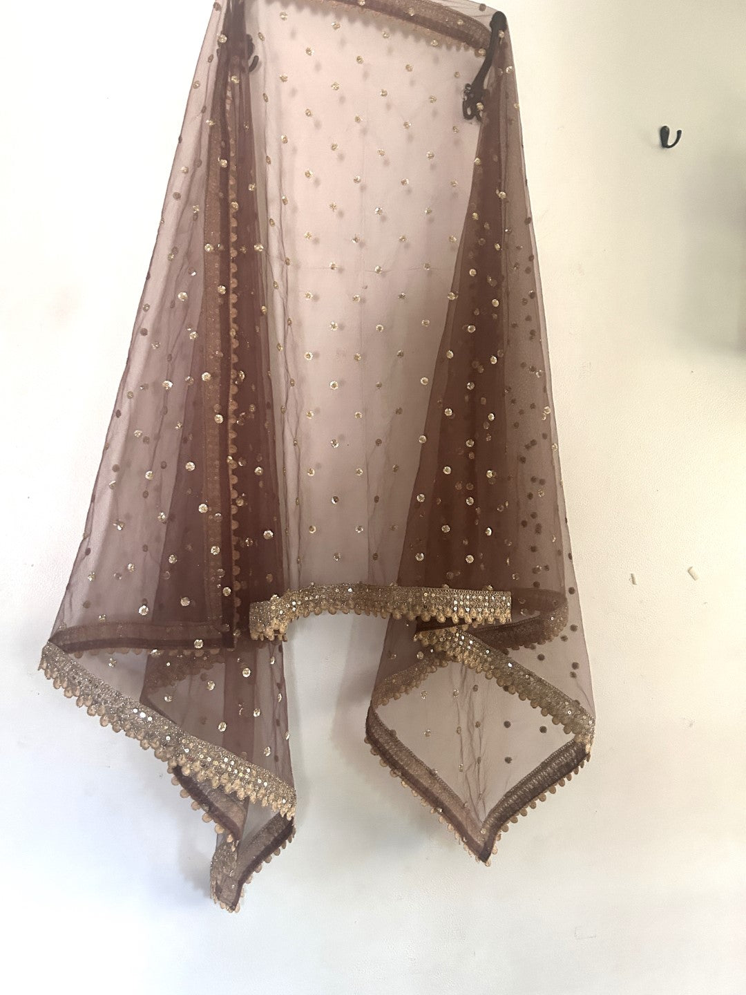 Brown Net Dupatta with beautiful Border