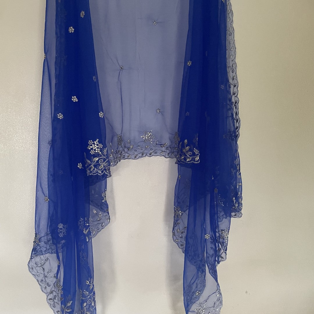Blue silver net dupatta