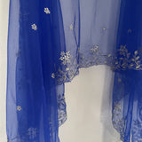 Blue silver net dupatta