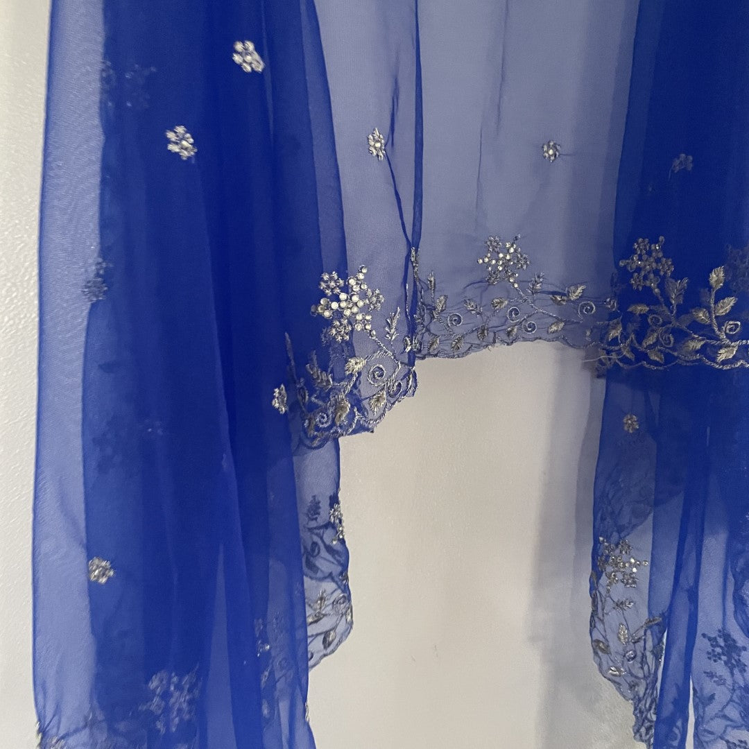 Blue silver net dupatta