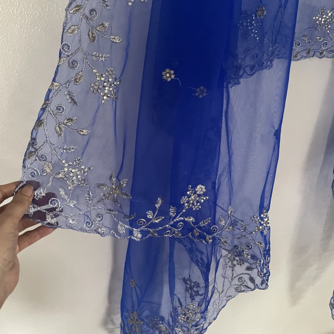 Blue silver net dupatta