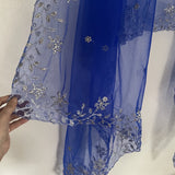 Blue silver net dupatta