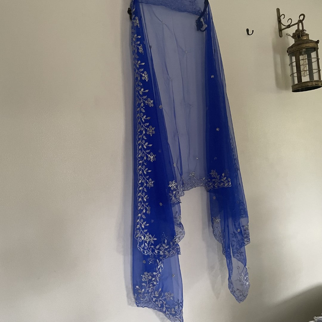 Blue silver net dupatta