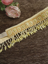 Gold waist belt for women. Fancy Saree belt