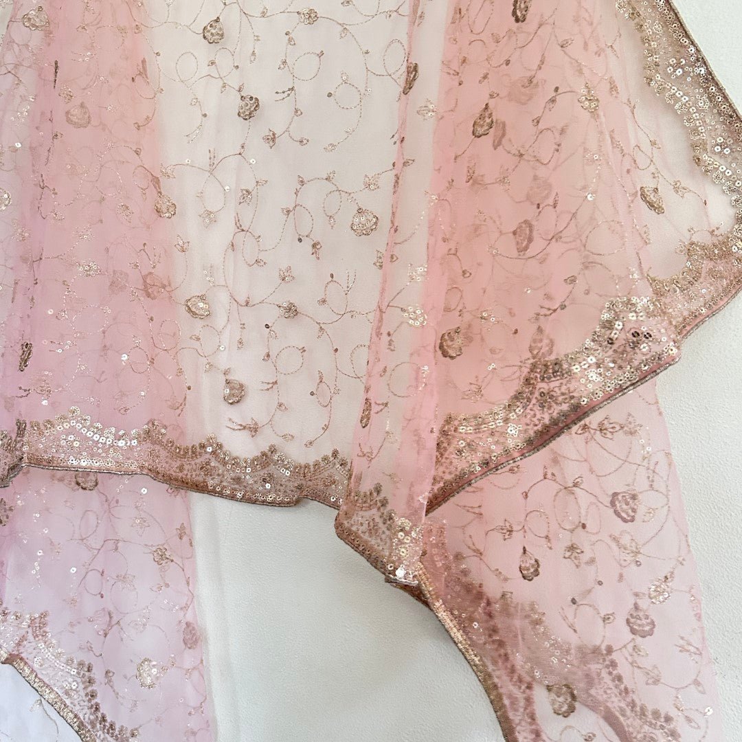 Fancy Net dupatta all over embroidery. - Neel Creations By Saanvi