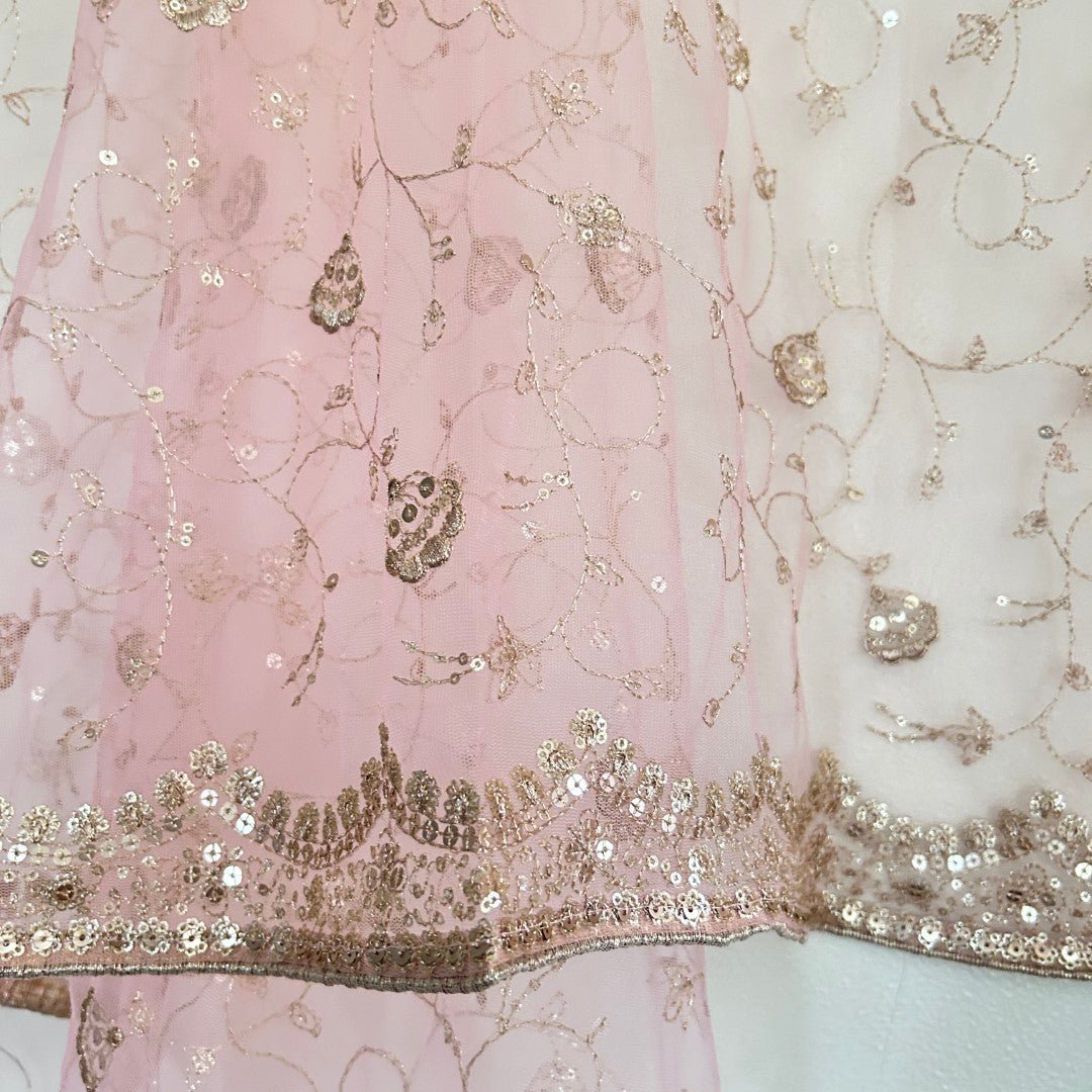 Fancy Net dupatta all over embroidery. - Neel Creations By Saanvi