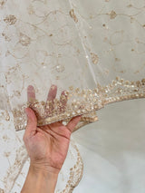 Fancy Net dupatta all over embroidery. - Neel Creations By Saanvi