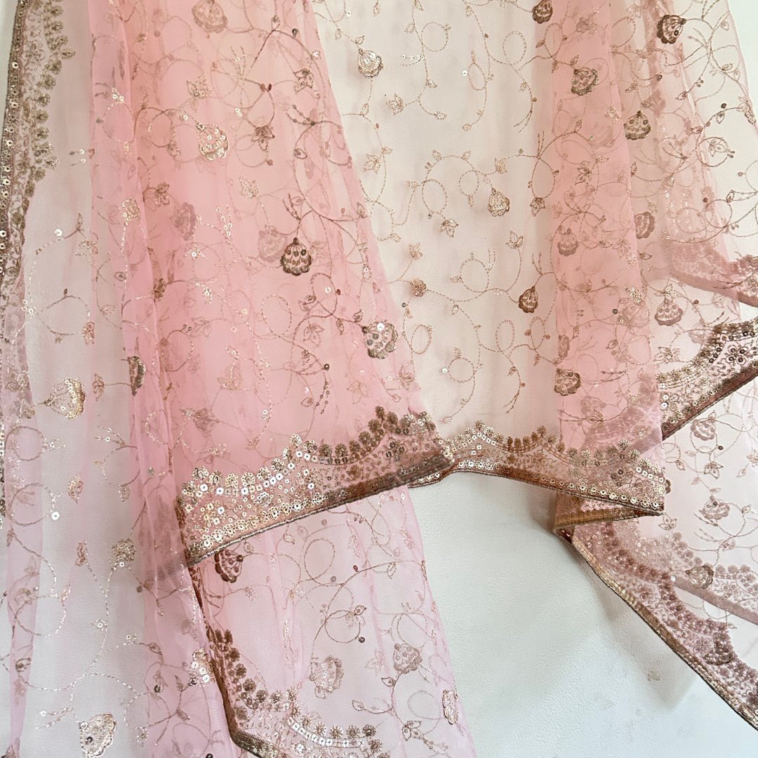 Fancy Net dupatta all over embroidery. - Neel Creations By Saanvi