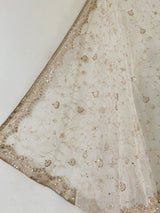 Fancy Net dupatta all over embroidery. - Neel Creations By Saanvi