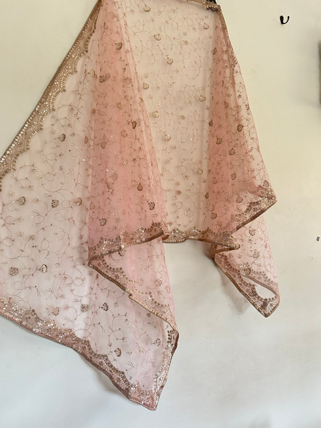 Fancy Net dupatta all over embroidery. - Neel Creations By Saanvi