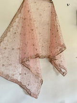 Fancy Net dupatta all over embroidery. - Neel Creations By Saanvi