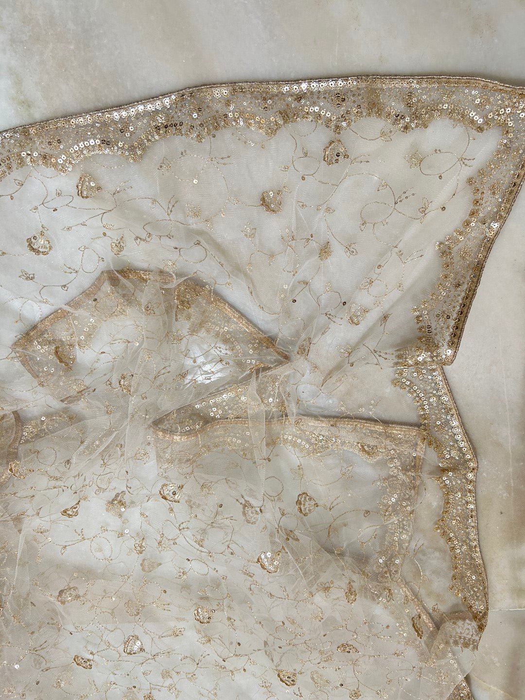 Fancy Net dupatta all over embroidery. - Neel Creations By Saanvi