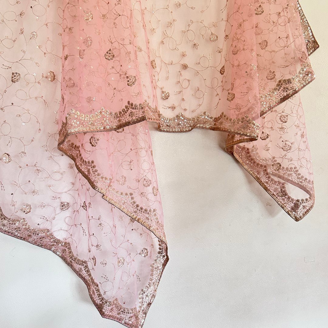 Fancy Net dupatta all over embroidery. - Neel Creations By Saanvi
