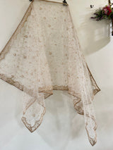 Fancy Net dupatta all over embroidery. - Neel Creations By Saanvi