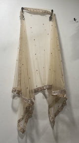 Golden Net dupatta. - Neel Creations By Saanvi