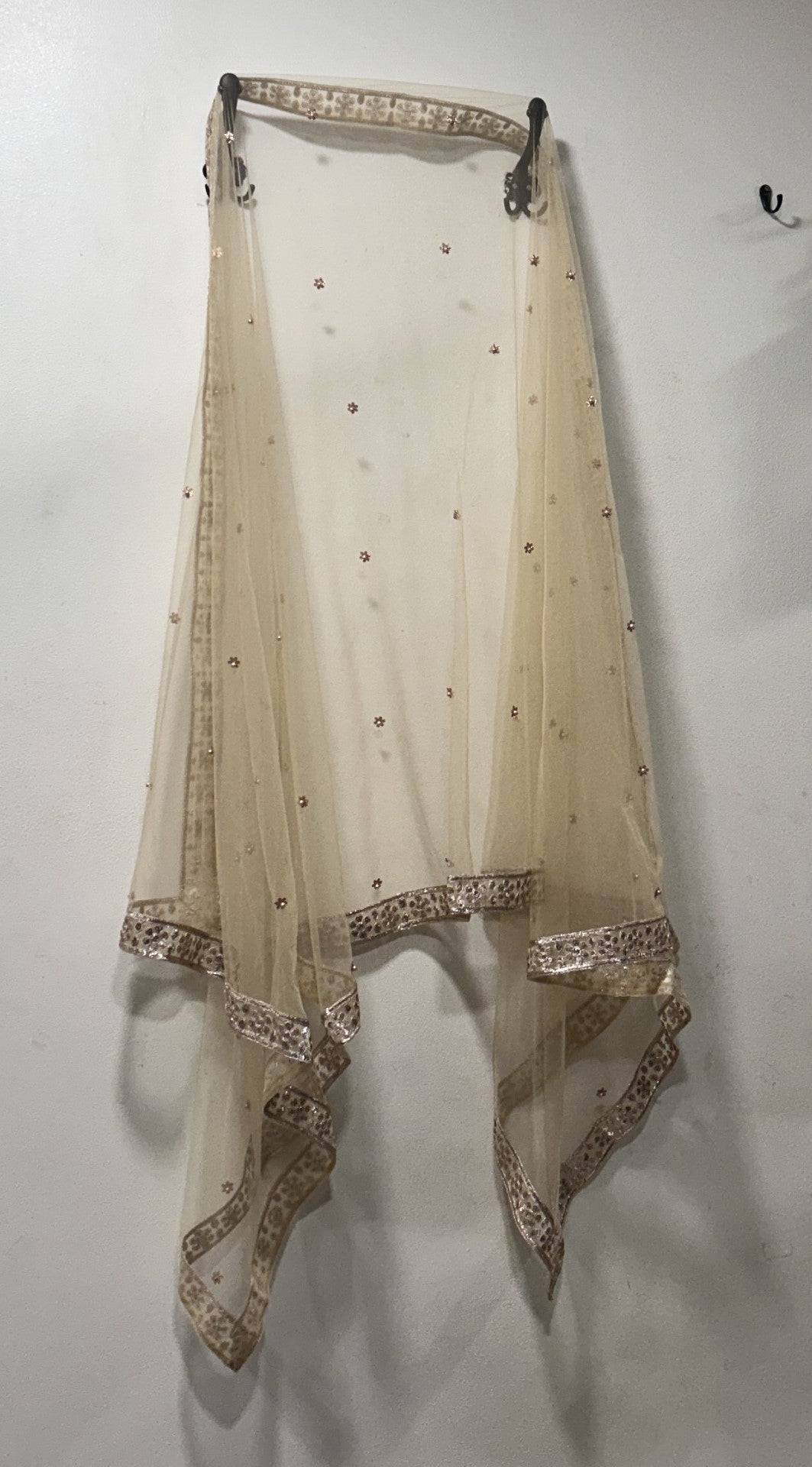 Golden Net dupatta. - Neel Creations By Saanvi