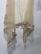 Golden Net dupatta. - Neel Creations By Saanvi