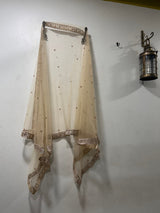 Golden Net dupatta. - Neel Creations By Saanvi