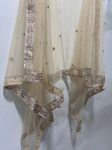 Golden Net dupatta. - Neel Creations By Saanvi