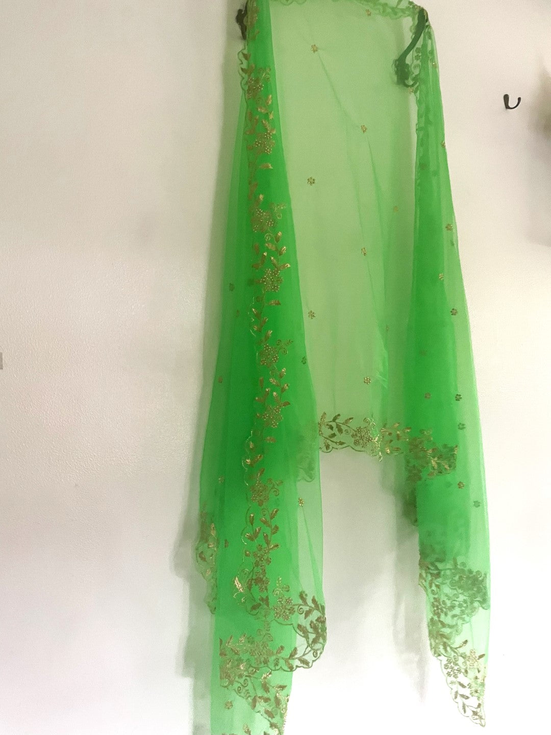 Green Net dupatta with scallop border