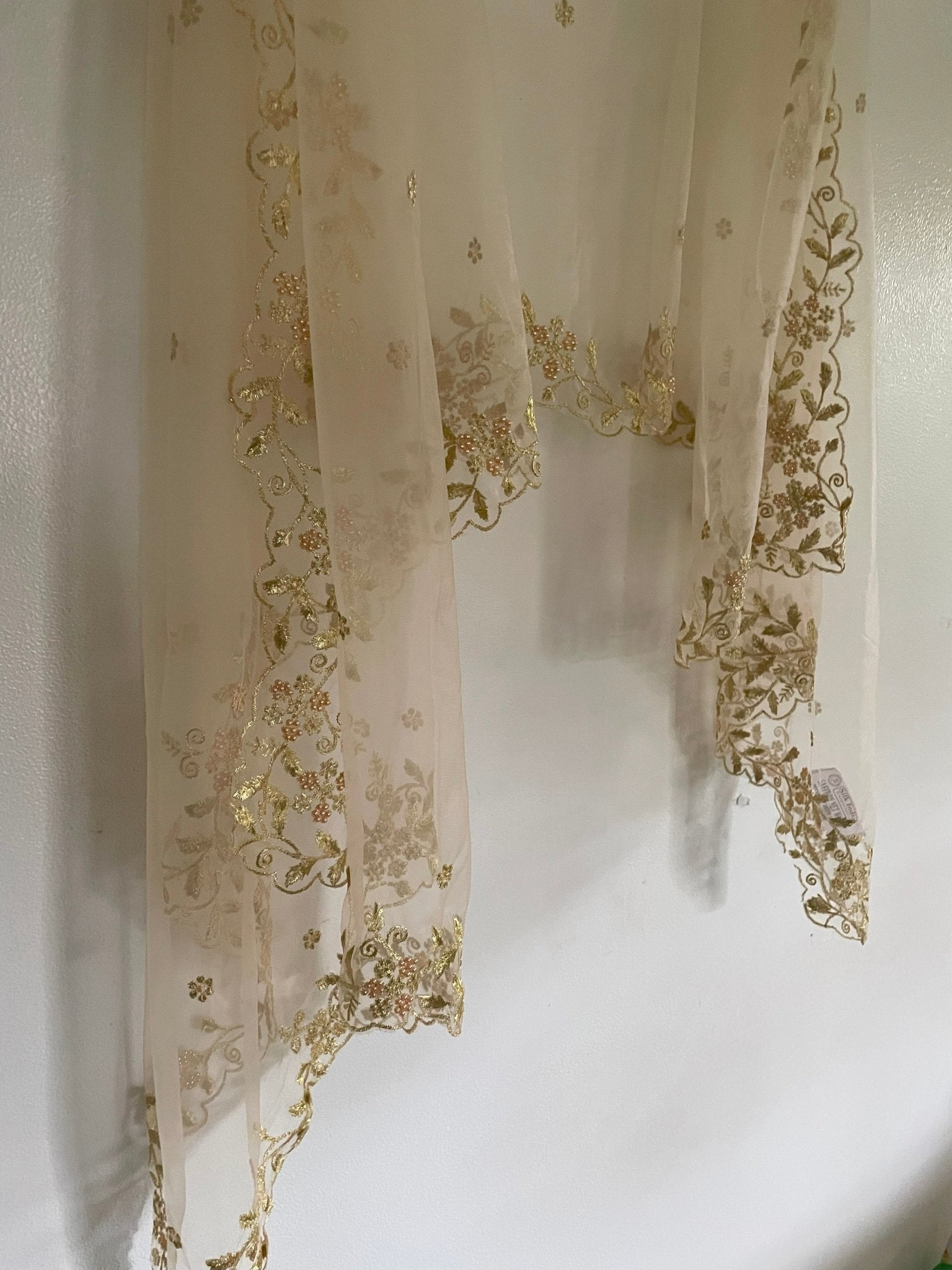 Light gold cream Net dupatta with scallop border - Neel Creations By Saanvi