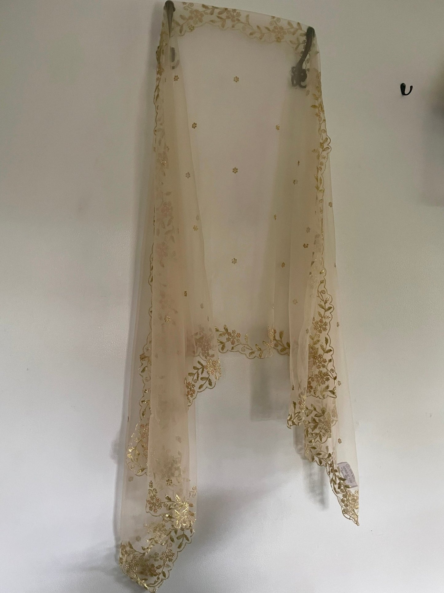 Light gold cream Net dupatta with scallop border - Neel Creations By Saanvi