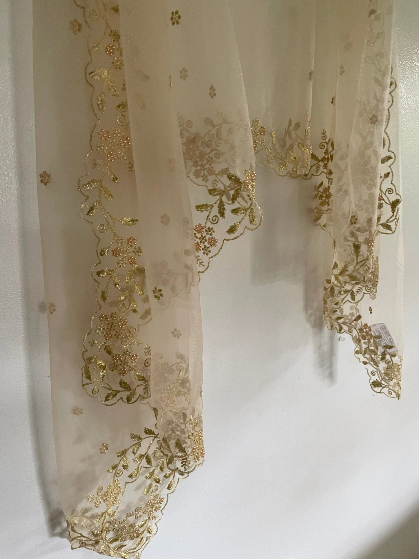 Light gold cream Net dupatta with scallop border - Neel Creations By Saanvi