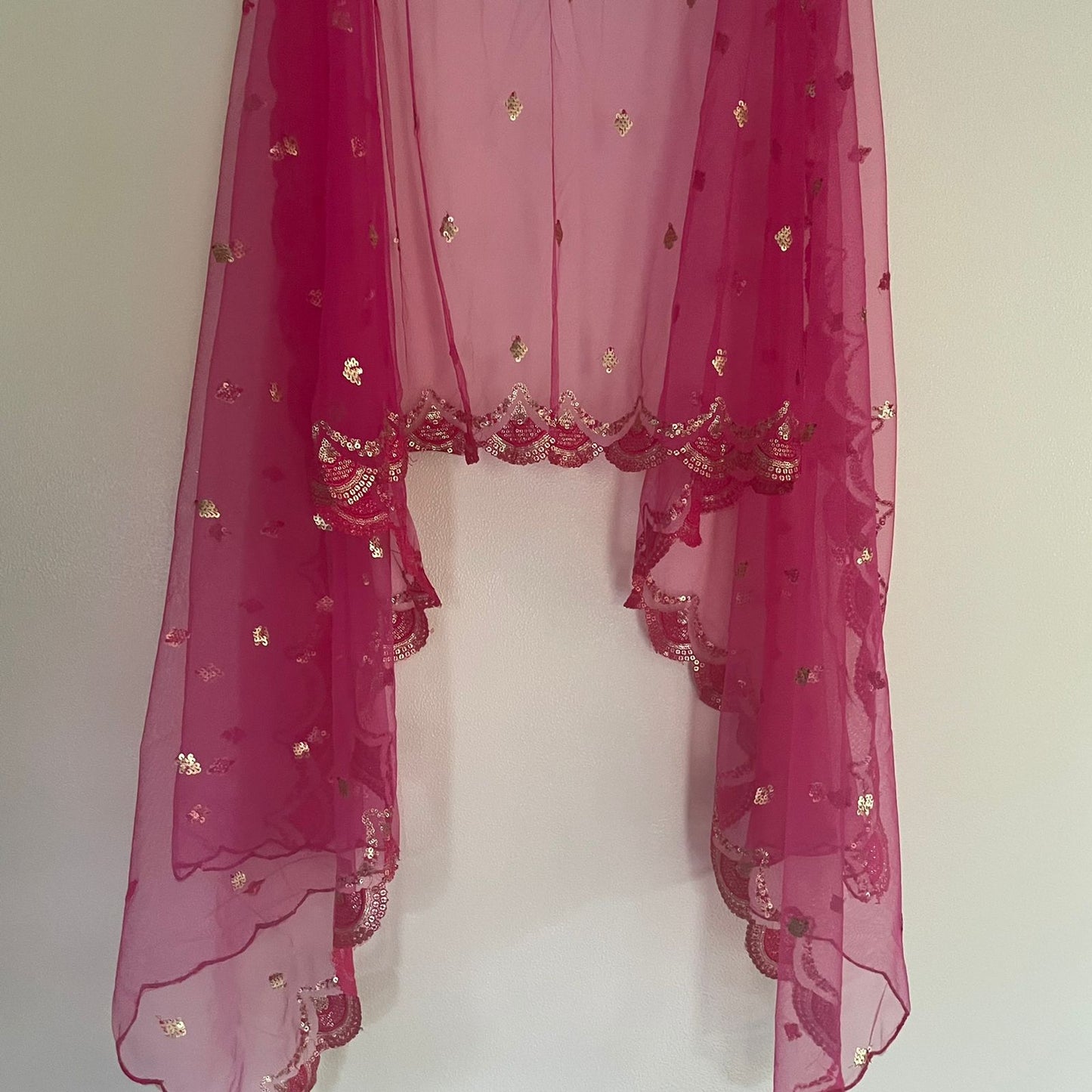 Pink Net dupatta with scallop border - Neel Creations By Saanvi