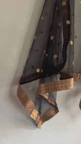 Fancy Net Dupatta in Black.