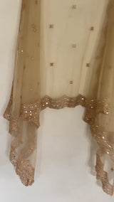 Gold net scallop border Dupatta