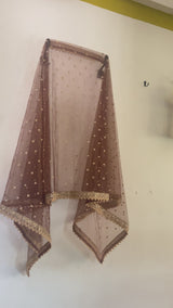 Brown Net Dupatta with beautiful Border