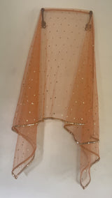 Peach Net dupatta with mirror border