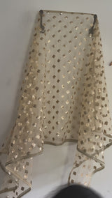 Golden Net Dupatta.