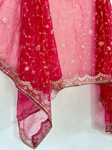Red Net dupatta all over embroidery. - Neel Creations By Saanvi