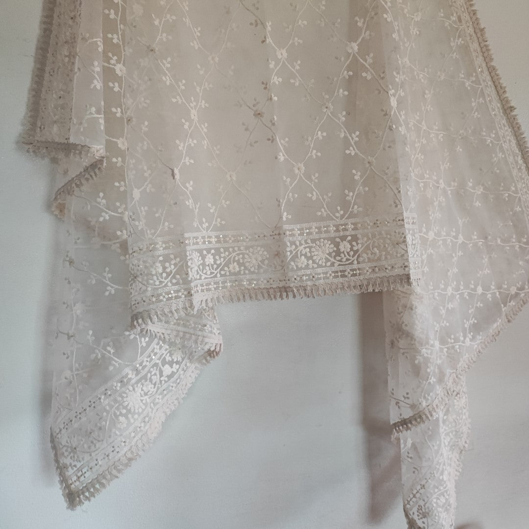 Thread work Net Fancy dupatta. - Neel Creations By Saanvi