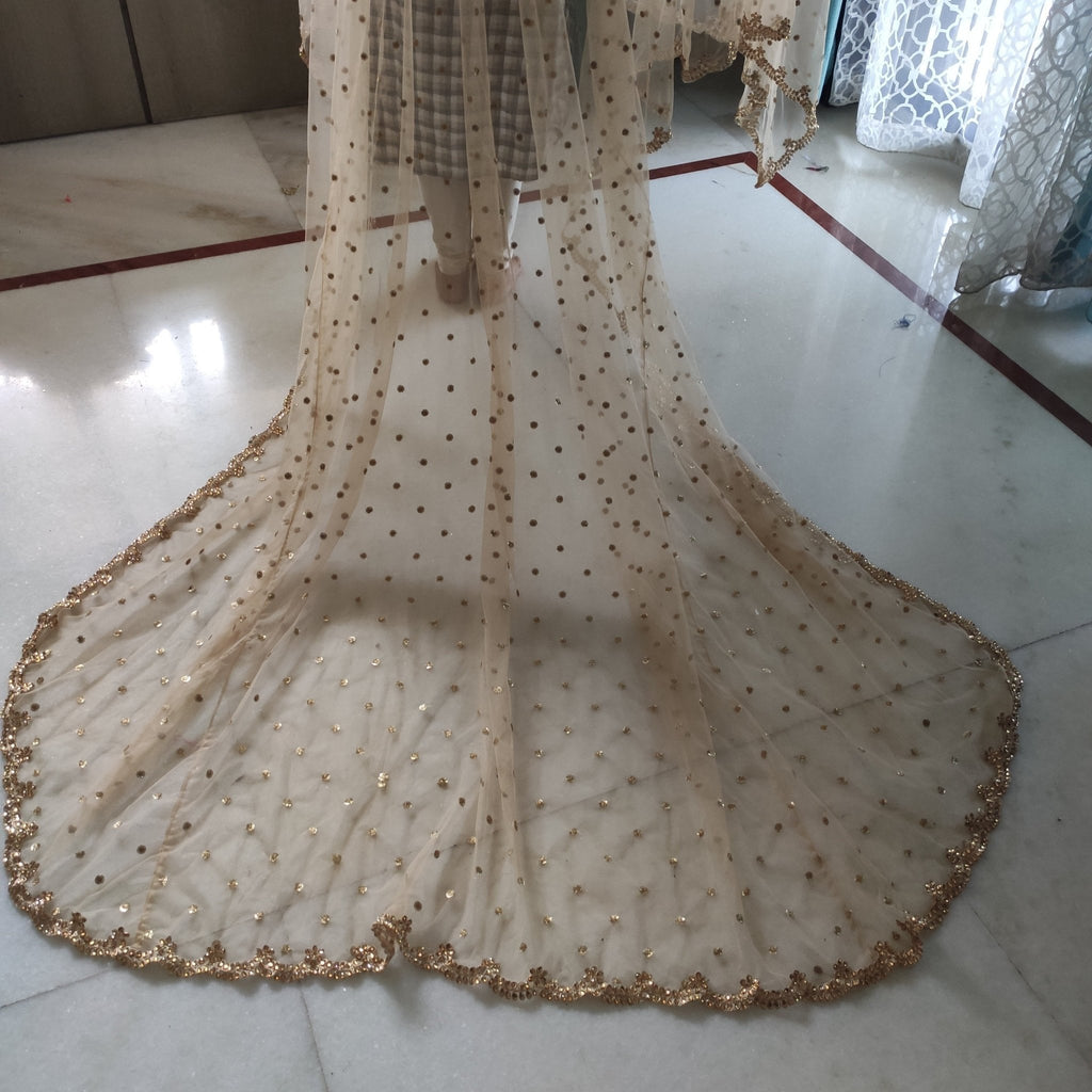 Gold net Bridal entry dupatta. Indian wedding bridal trail dupatta for bride's entry - Neel Creations By Saanvi