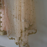 Indian dupatta pastel colored net dupatta for wedding party wear. Designer fancy dupattas for brides. - Neel Creations By Saanvi