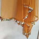Net dupatta with mirror like border. Long Indian dress lehenga dupatta. Saree dupatta for women - Neel Creations By Saanvi